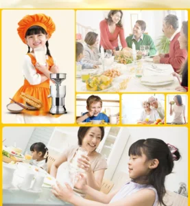 bean product processing machinery